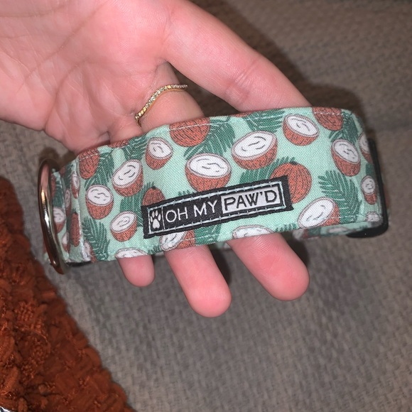 Dog Collar - Picture 4 of 5